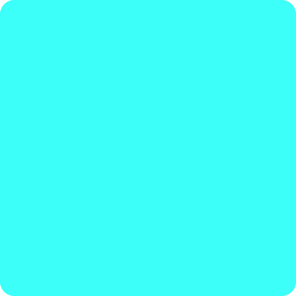 Mint Mint