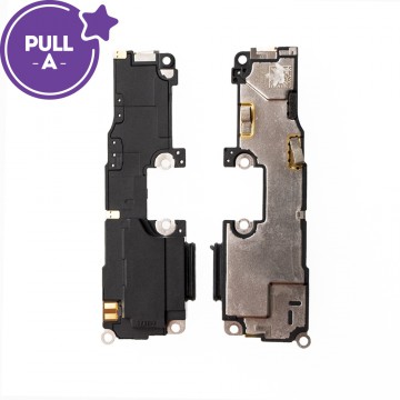 Loud Speaker for Google Pixel 6 (PULL-A)